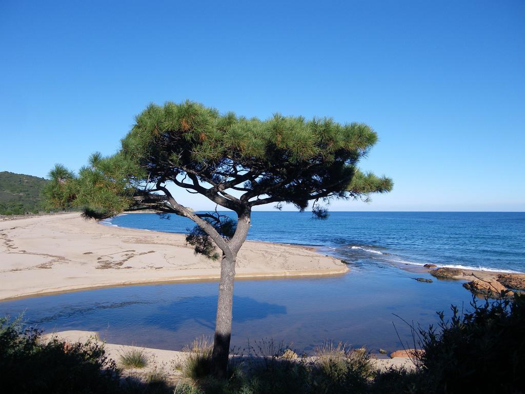 סנט-לוסידה פורטו-וקיו Domaine De La Testa מראה חיצוני תמונה